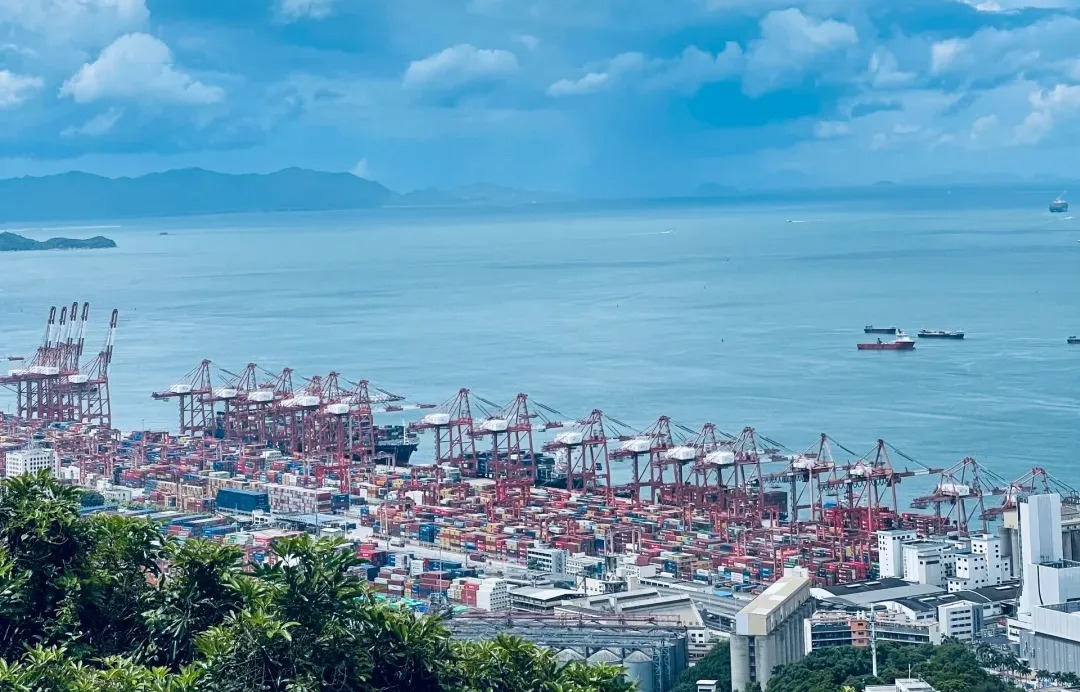 海运新手必读：初次内贸集装箱运输指南