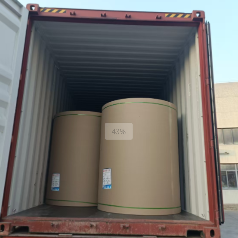 原木卷纸、纸张能够走集装箱海运吗，必要把稳什么？