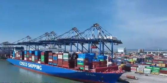 2024年多个港口集团实现货物吞吐量和集装箱量双增长