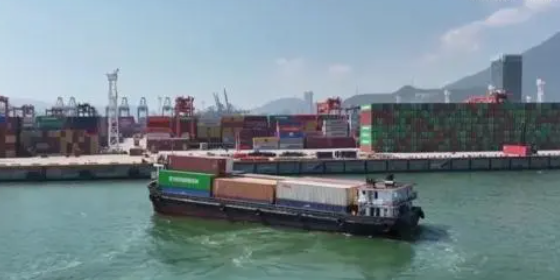 国内海运，内贸集装箱海运收费全解析！