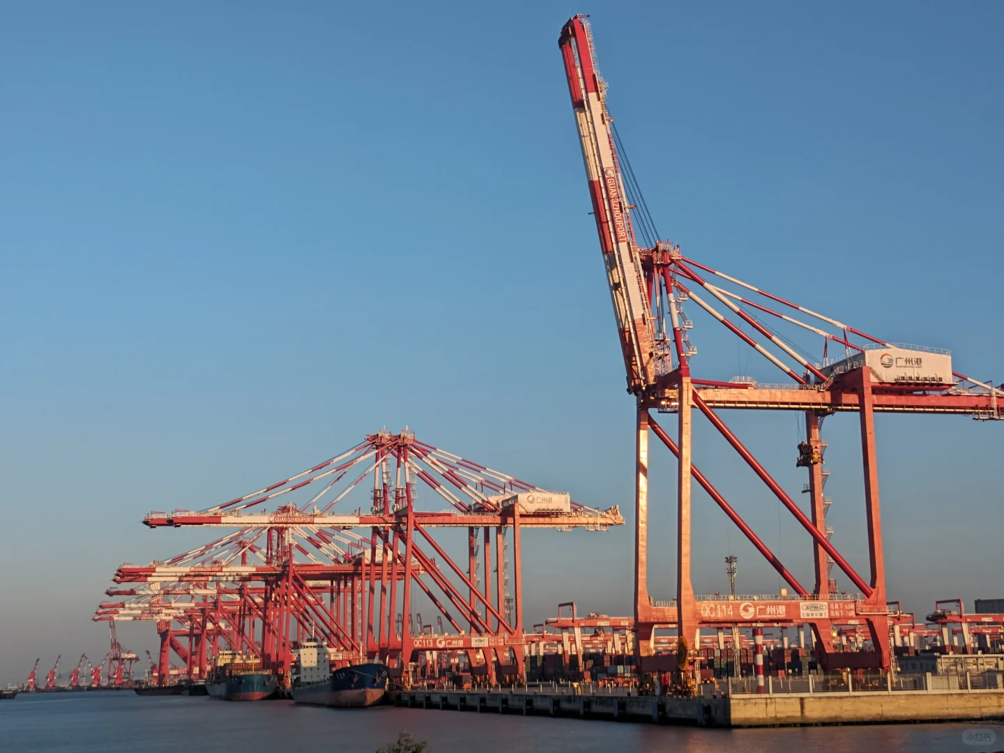 若何理解海运中的“甩柜”？