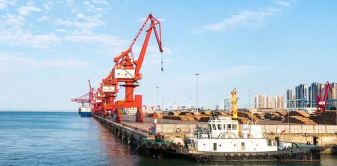 首页-人生就是博手机版